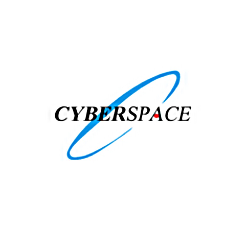 alton_slides_kobokings_akinbo_box_cyberspace_